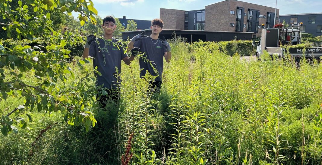 Sommerferiejob til unge fra udsatte boligområder