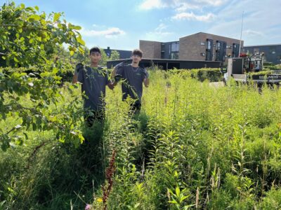 Sommerferiejob til unge fra udsatte boligområder